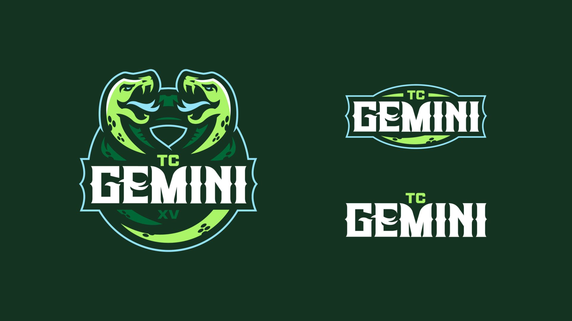 250130_WER_TeamBrands_1920x1080_TC-Gemini